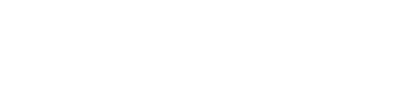 Logo EC Sachsen